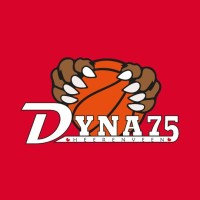 Dyna'75 logo - Similar company to Media Service Noord