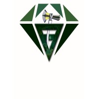 Paragon explorations and mining company Zambia limited logo - Similar company to Garno Group