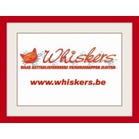 Whiskers