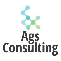 Ags Consulting