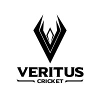Veritus Sports Limited logo - Similar company to Victor79