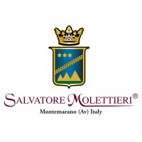 Salvatore Molettieri logo - Similar company to Vele Studio