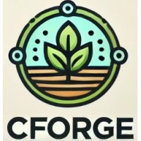 CForge logo - Similar company to Magnaterra Technologies