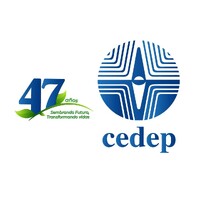 Centro De Estudios Para El Desarrollo Y La Participación -  Cedep