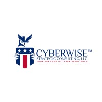 CyberWise Strategic Consulting, LLC logo - Similar company to Dragonfli Limited