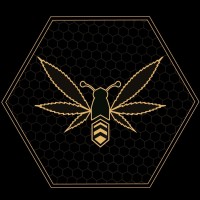 Hive Minds logo - Similar company to Nicematrix Technologies Inc.