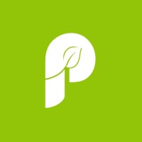 Pirsa logo - Similar company to Data Effects