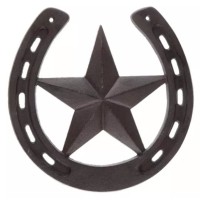 Lone Star Private Investigator logo - Similar company to Ly Detectives Agency Pi Services