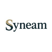 Syneam logo - Similar company to Improove Consulting