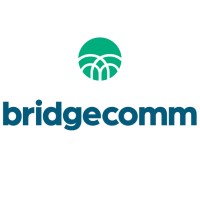 BridgeComm, Inc. logo - Similar company to Bridgepay