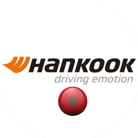 Starpneumatique - Hankook logo - Similar company to Hard Log Trans