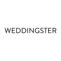 Weddingster logo - Similar company to Wedding Plan It/ Weddingplanner Rotterdam