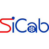 Sicab France logo - Similar company to Adapt