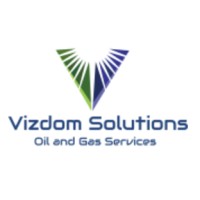 VIZDOM SOLUTIONS logo - Similar company to Tech Fusion