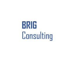 BRIG Consulting logo - Similar company to Odessa Development Fund, Ngo