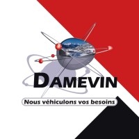 Damevin logo - Similar company to Damcom