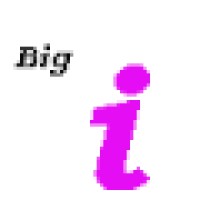 Big I Consulting Ltd. logo - Similar company to Ayoob Ai