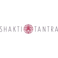 SHAKTI TANTRA LIMITED logo - Similar company to Technex Cloud Networks