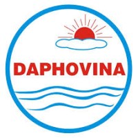 Dang Phong Import - Export Trading Service Manufacturing CO., LTD logo - Similar company to Eplusi Technology