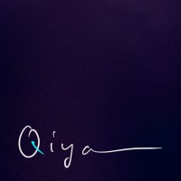 Qiyam logo - Similar company to Consensus Careers