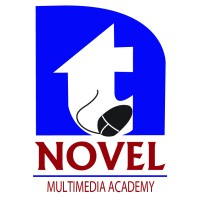 Novel Multimedia Academy logo - Similar company to Change Focused Leadership