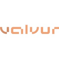 Valvur logo - Similar company to Nitrogen Sensing Solutions
