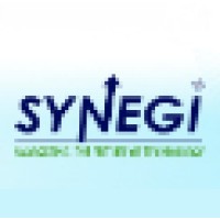 Synegi logo - Similar company to Synefi