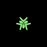 Lung Protocol logo - Similar company to Bitcoin Exchange