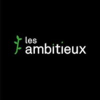 Les Ambitieux logo - Similar company to Beemyflex