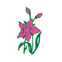 Flor do Norte, Comércio de Plantas e Flores, Lda logo - Similar company to Bioma Plants