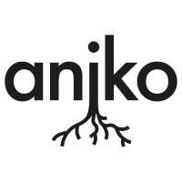 Aniko logo - Similar company to Noside