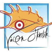 VISION O'TENTIK logo - Similar company to Dynabuy Midi-Pyrenees