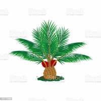 Innovation Palm Shell Fuels (InPaSheF) logo - Similar company to Palm Oil Directory