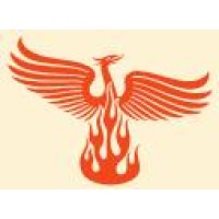 Phenix Technology Consulting Ltd. logo - Similar company to Phenix Technologies