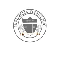 MindSigma Consulting logo - Similar company to Two In One Platform Sarl