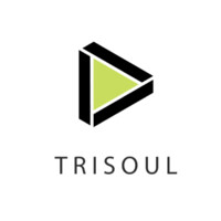 Trisoul Solutions logo - Similar company to Triangles