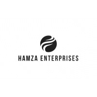 Hamza Enterprises Inc logo - Similar company to Fd Ventures Group
