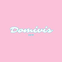 Domivis logo - Similar company to Clover & Kith Creative