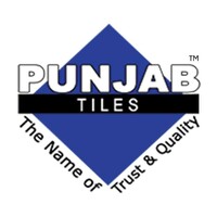 Punjab Tiles logo - Similar company to Reliance Solution