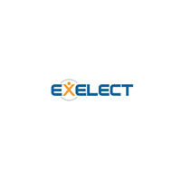 Exelect México logo - Similar company to Exelect Australia