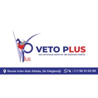 VETO PLUS BENIN logo - Similar company to Pebco-Bethesda