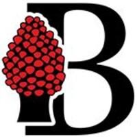 Barraco Group logo - Similar company to Barrineti Construction