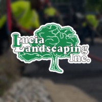 Lucia Landscaping Inc. logo - Similar company to Continuum Services