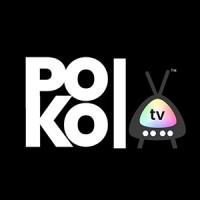 POKOtv logo - Similar company to Tecnogex
