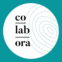 Co-lab-ora I Laboratoire Formulation Maquillage & Tests Performance logo - Similar company to 4Cx