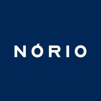 Nório Nanotecnologia logo - Similar company to Adrox Nanotecnologia