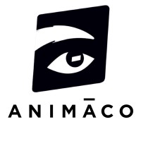 Animāco Studio logo - Similar company to Bigboy Studio