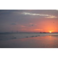 Savannah Weddings By Nancy logo - Similar company to Ivory & Beau