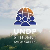 UNDP Student Ambassador Programme logo - Similar company to Dit Designstudio