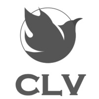 Capital Leverage Venture logo - Similar company to Bfp Capital